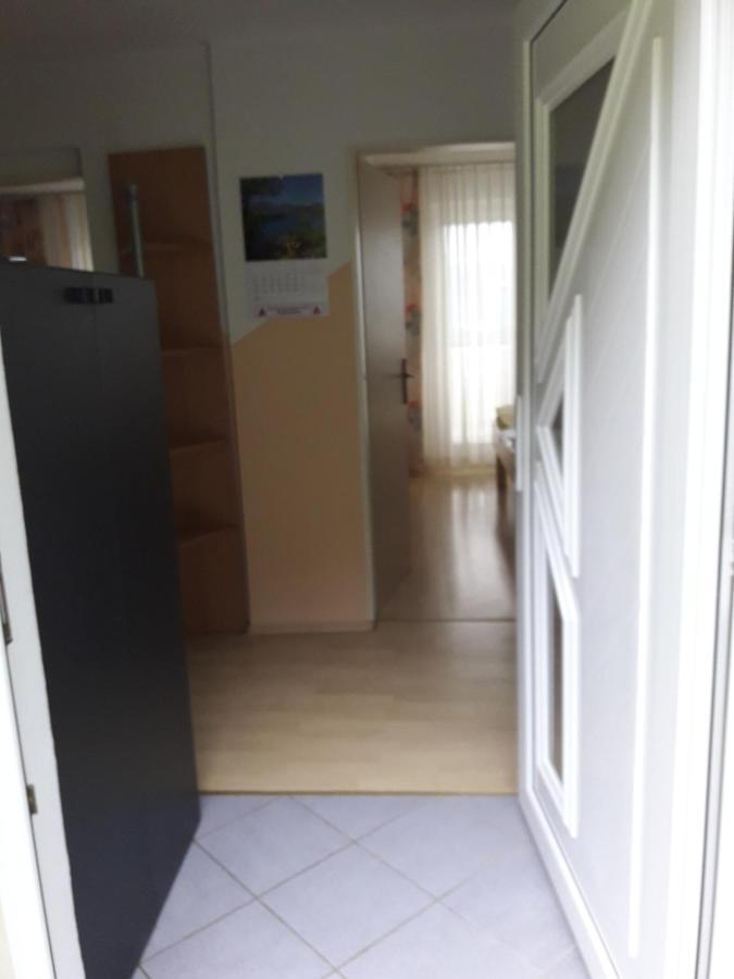 Sirovnik Apartment Бегунье-на-Гореньскем Экстерьер фото