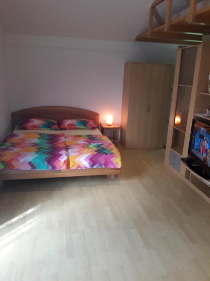 Sirovnik Apartment Бегунье-на-Гореньскем Экстерьер фото